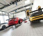 HAMANN Volcano