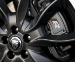 Jaguar Black Pac_13