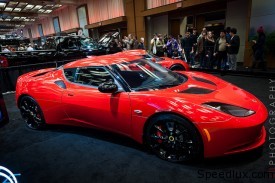 Lotus1