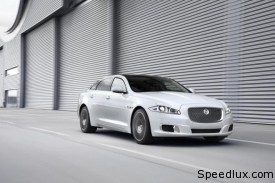 Jaguar-photo