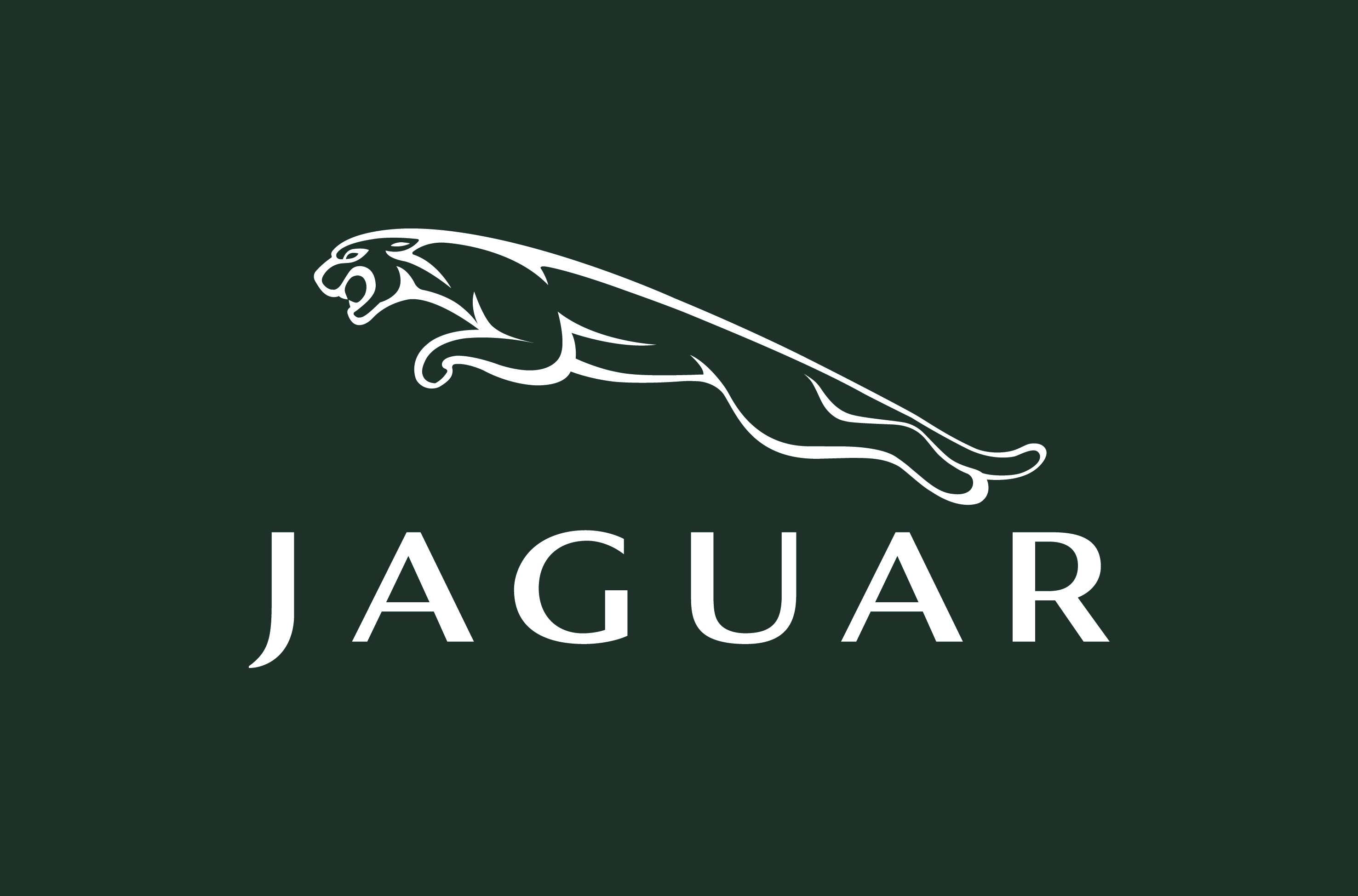 Jaguar Symbol
