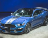 Images of 2016 Ford Mustang Shelby GT350R Mustang