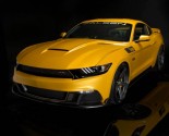 Images of Saleen S302