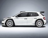 Images of Skoda Fabia R5