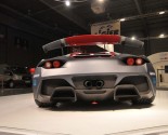 Images of arrinera hussarya