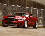 Images of Ford Mustang Shelby Super Snake