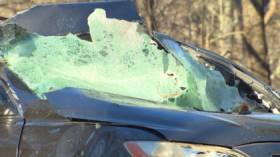 Andover accident tree falls on car
