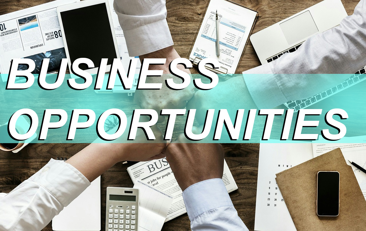 Business opportunities Advertise on Automotive Car BLOG
