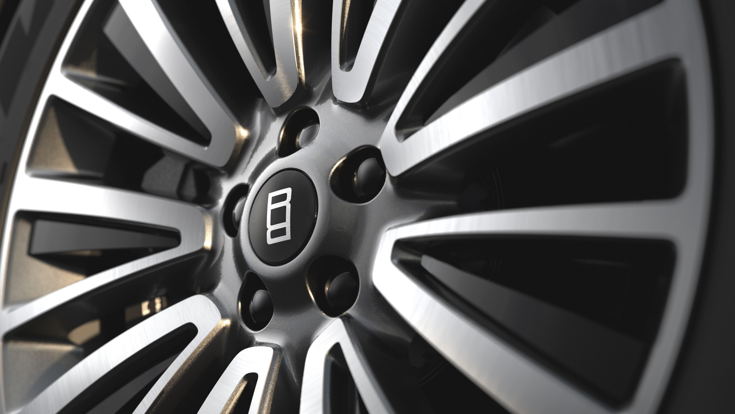 Range Rover Special Editions (6)
